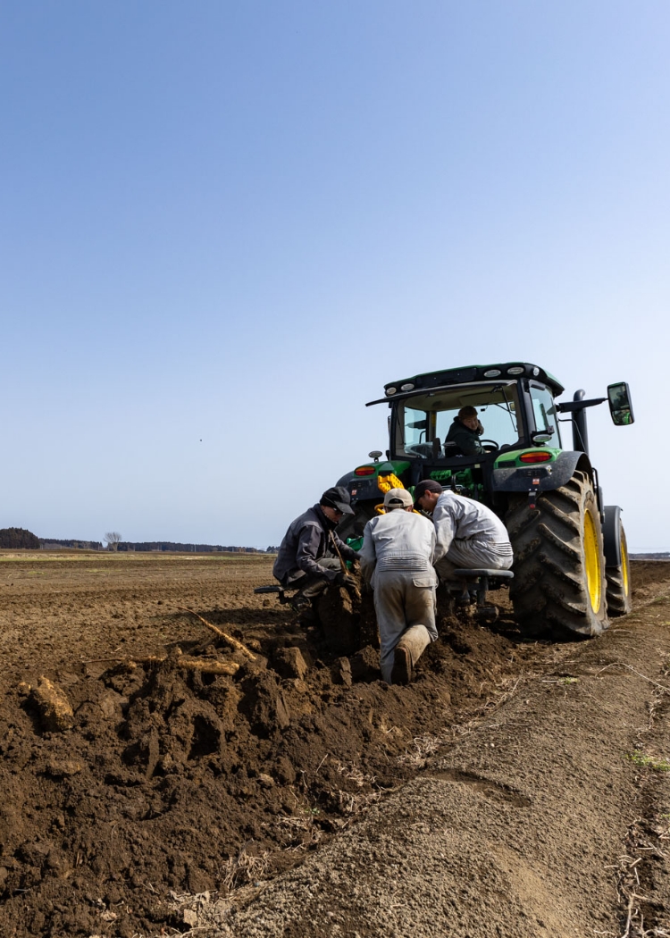 ジョイント・ファーム株式会社 青森県特産野菜の生産・加工販売