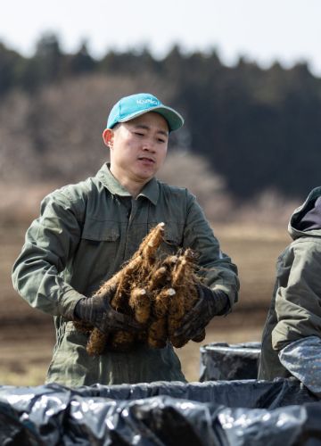 採用情報