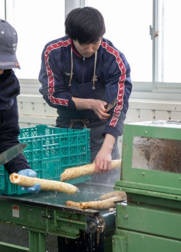 採用情報