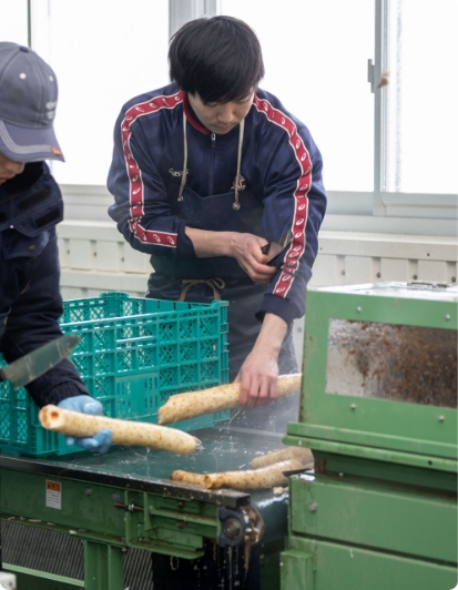 独立就農のインタビュー写真