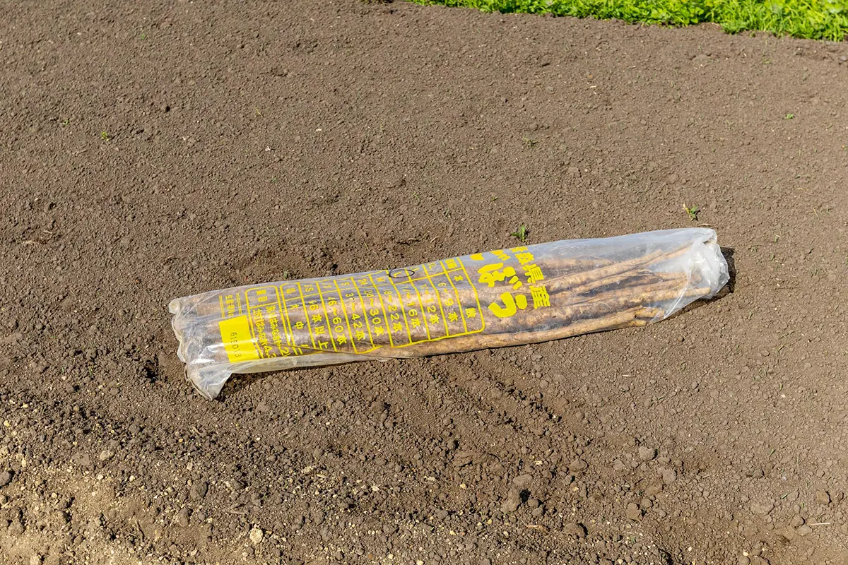 生産品紹介画像