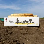 生産品紹介画像