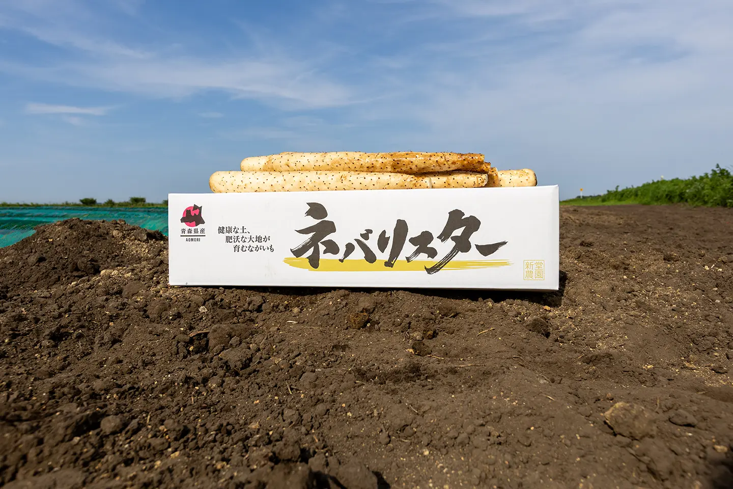 生産品紹介画像